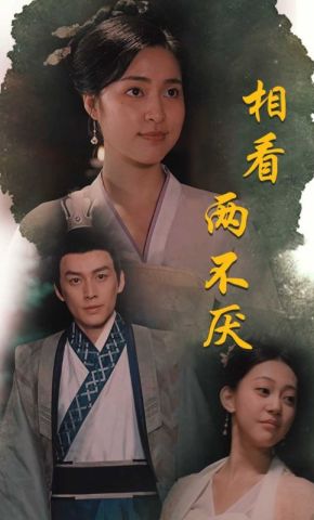 短剧《相看两不厌》海报