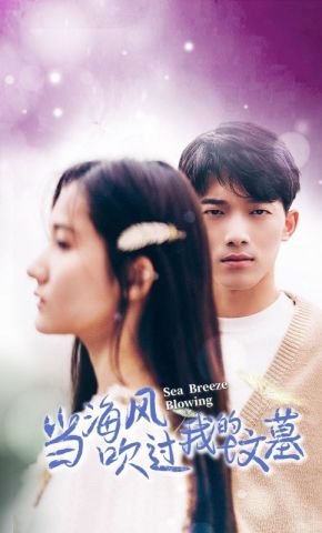 短剧《当海风吹过我的坟墓》海报