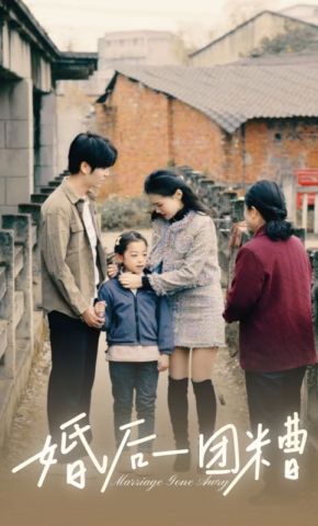 短剧《婚后一团糟》海报