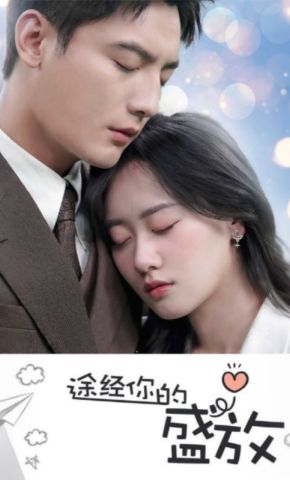 短剧《途经你的盛放》海报