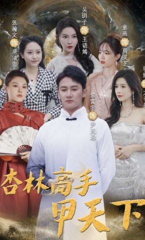 短剧《杏林高手甲天下》海报