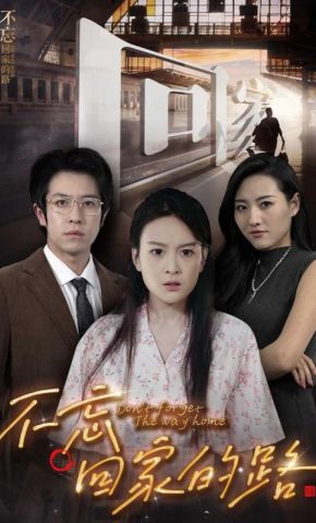 短剧《不忘回家的路》海报