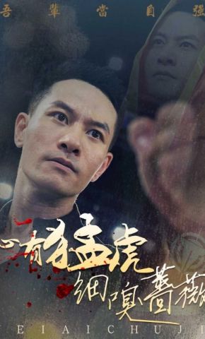 短剧《心有猛虎嗅蔷薇》海报