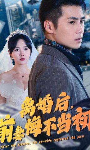 短剧《离婚后，前妻悔不当初》海报