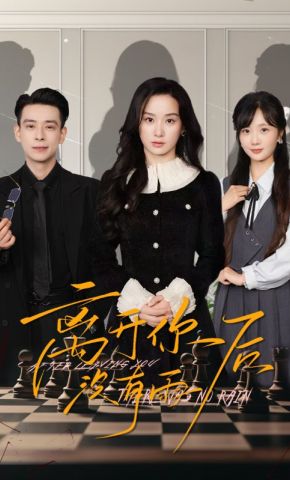 短剧《离开你后没有雨》海报