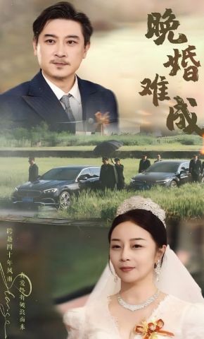 短剧《晚婚难成》海报