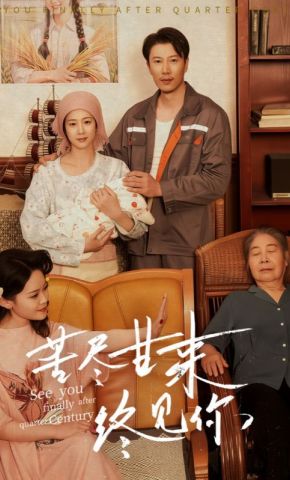 短剧《苦尽甘来终见你》海报