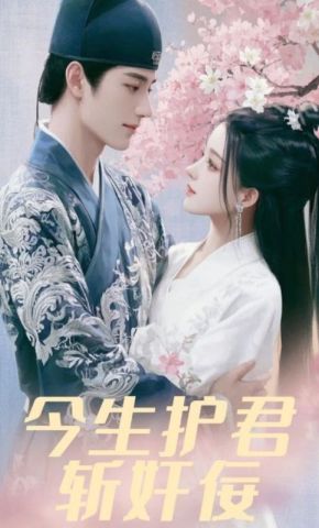 短剧《今生护君斩奸佞》海报