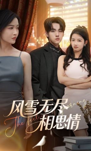 短剧《风雪无尽相思情》海报