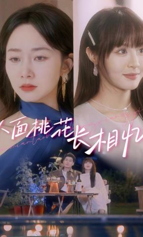 短剧《人面桃花长相忆》海报