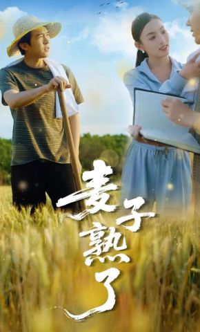 短剧《麦子熟了》海报