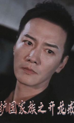 短剧《护国家族之升龙戒》海报