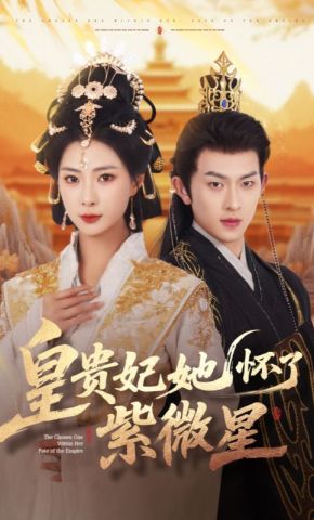 短剧《皇贵妃她怀了紫薇星》海报