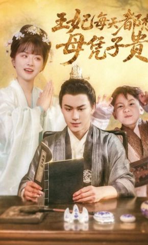 短剧《王妃每天都想母凭子贵》海报