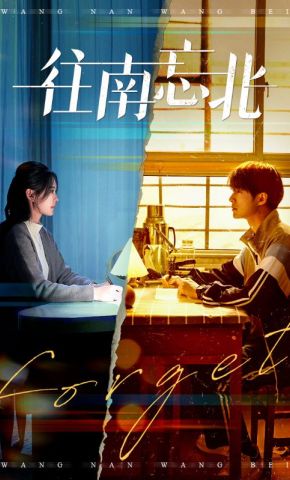 短剧《往南忘北》海报
