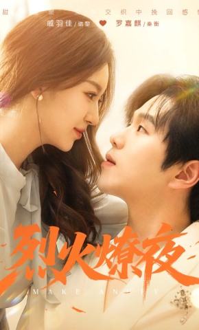 短剧《烈火燎夜》海报