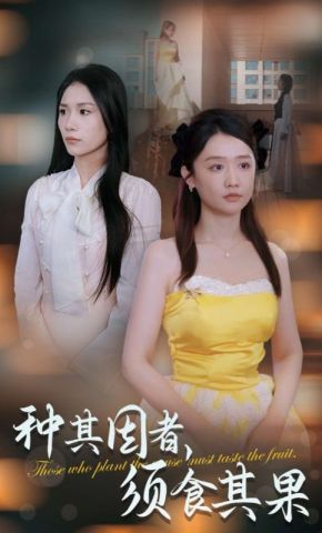 短剧《种其因者，须食其果》海报