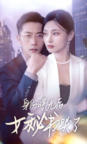 短剧《身份曝光后女秘书哭了》海报