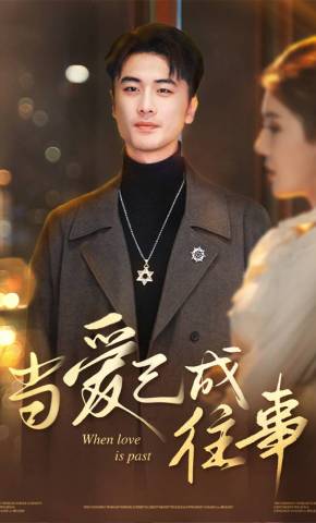 短剧《当爱已成往事》海报