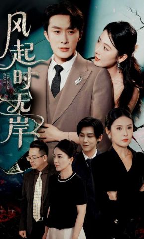 短剧《风起时无岸》海报