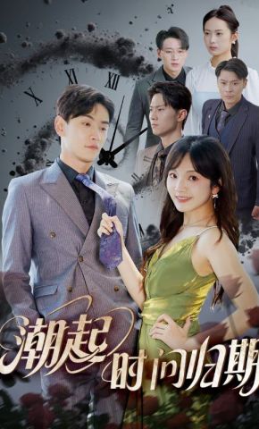 短剧《潮起时问归期》海报
