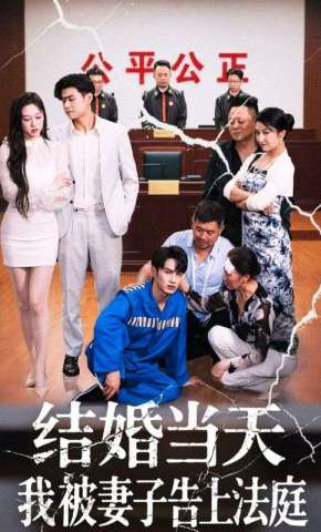 短剧《结婚当天我被妻子告上法庭》海报