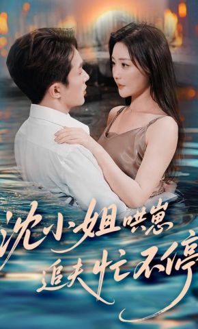 短剧《沈小姐哄崽追夫忙不停》海报