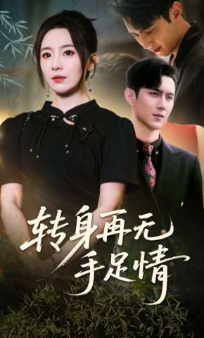 短剧《转身再无手足情》海报