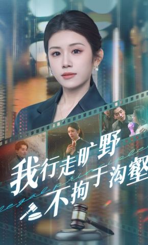 短剧《我行走旷野不拘于沟壑》海报
