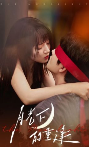 短剧《月光下的重逢》海报
