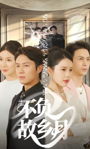 短剧《不负故乡月》海报
