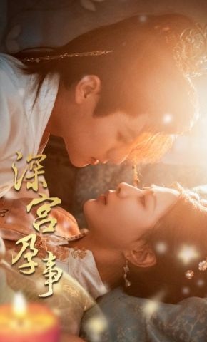 短剧《深宫孕事》海报