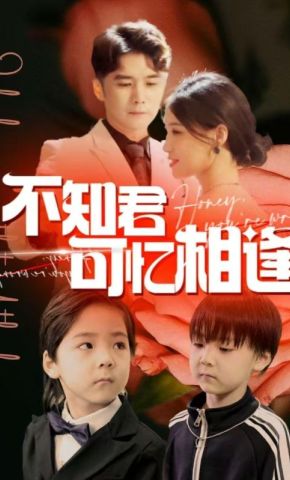 短剧《不知君可忆相逢》海报