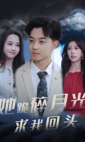 短剧《她跪碎月光求我回头》海报