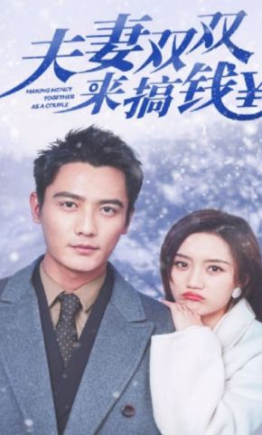 短剧《夫妻双双来搞钱》海报