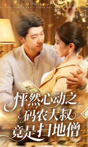 短剧《怦然心动之码农大叔竟是扫地僧》海报