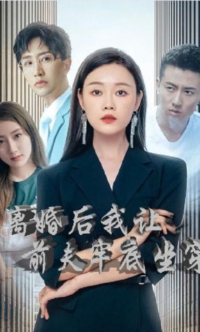 短剧《离婚后我让前夫牢底坐穿》海报