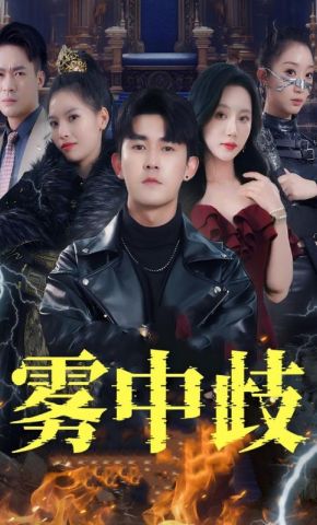 短剧《雾中歧》海报