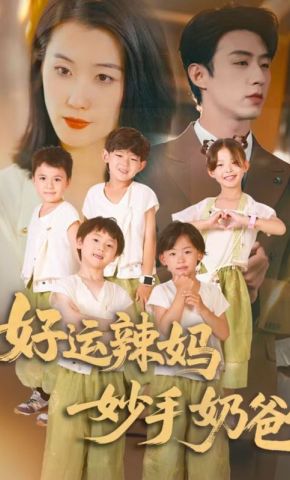 短剧《好运辣妈妙手奶爸》海报