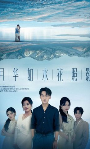 短剧《月华如水花照影》海报