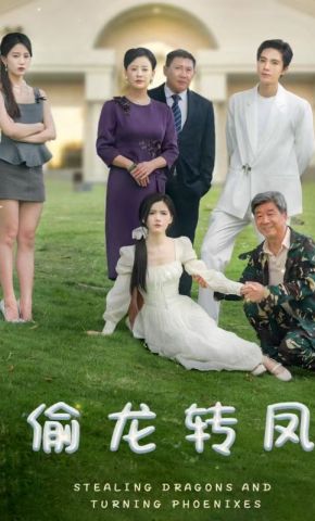 短剧《偷龙转凤》海报