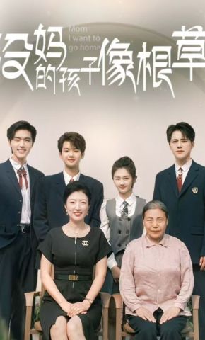 短剧《没妈的孩子像根草》海报