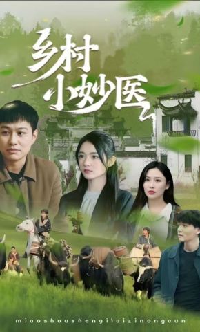短剧《乡村小妙医》海报