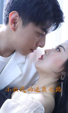 短剧《小农民的逆袭之路》海报