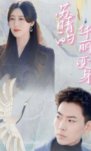 短剧《苏晴的华丽变身》海报