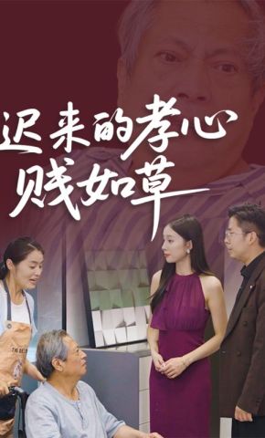 短剧《迟来的孝心贱如草》海报