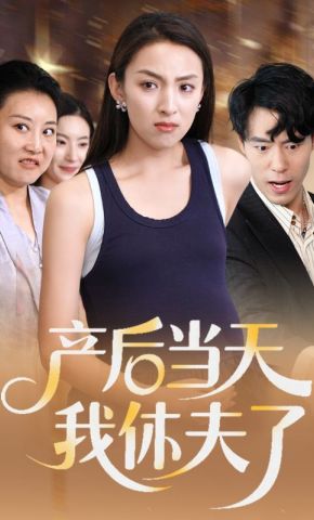 短剧《产后当天我休夫了》海报