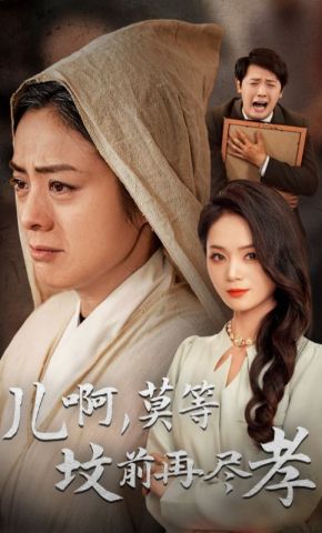 短剧《儿啊，莫等坟前再尽孝》海报