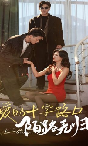 短剧《爱的十字路口陌路无归》海报