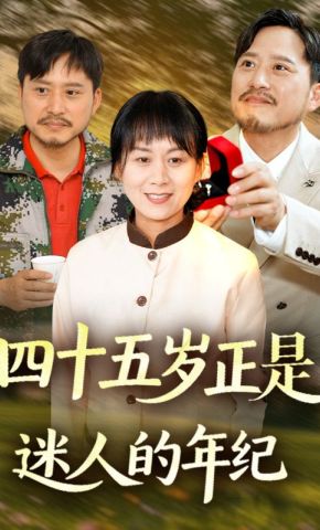 短剧《四十五岁正是迷人的年纪》海报
